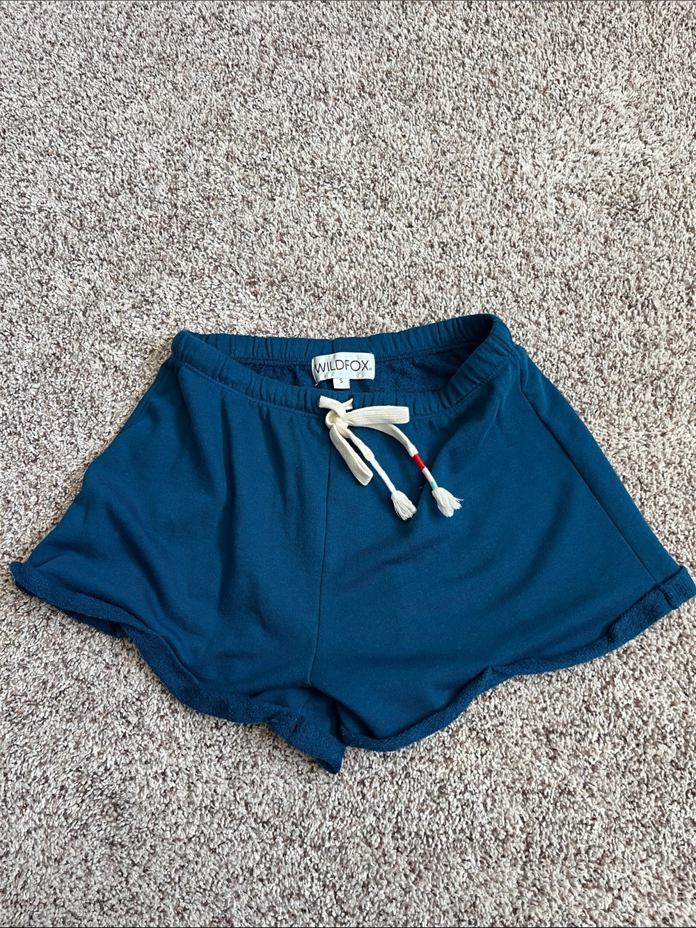 Wildfox Teal Blue Elastic-Waist Drawstring Athletic Shorts